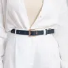 Ремни CHARLENE артикул 91561000235