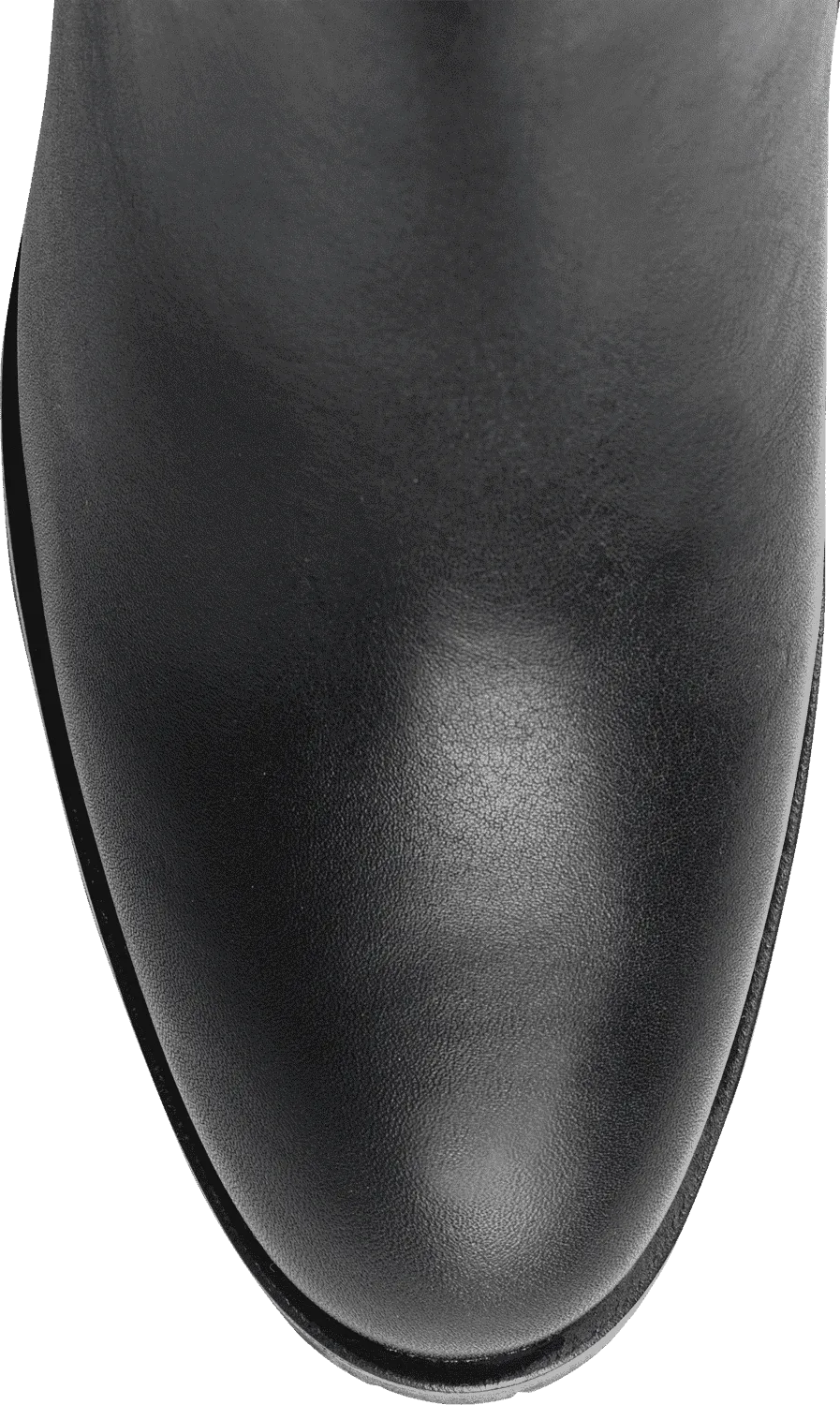 Сапоги CURTIS артикул 01065250100